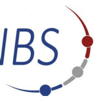 Institut für Berufsbildung und Sozialmanagement (IBS) gemeinnützige GmbH Logo